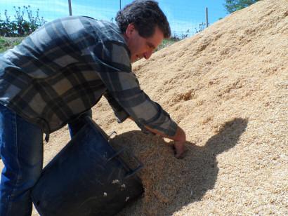 Récupération de la balle de riz.